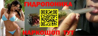 шишки Пыть-Ях
