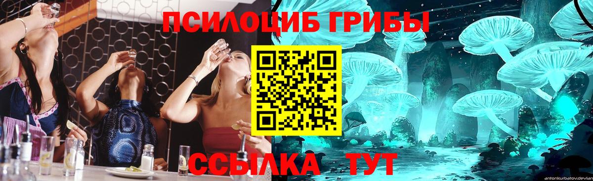 Серов  Псилоцибиновые грибы мухоморы  где продают наркотики  Галлюциногенные грибы мицелий  Вход с VPN 